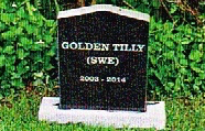 Golden Tilly